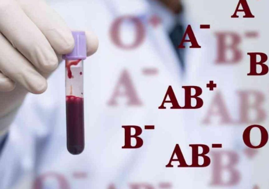 什么血型属于熊猫血?