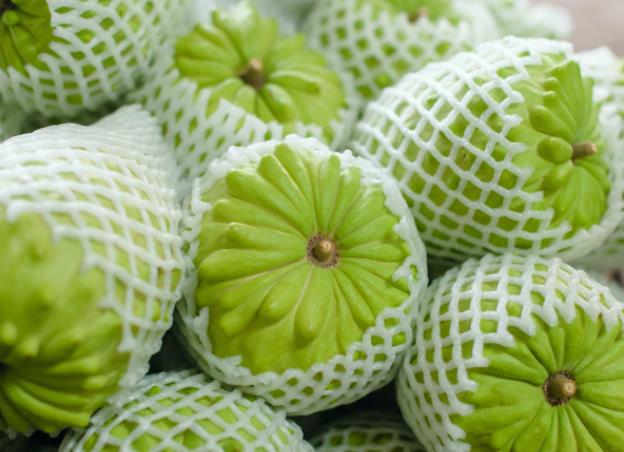 释迦果丰收是什么季节?