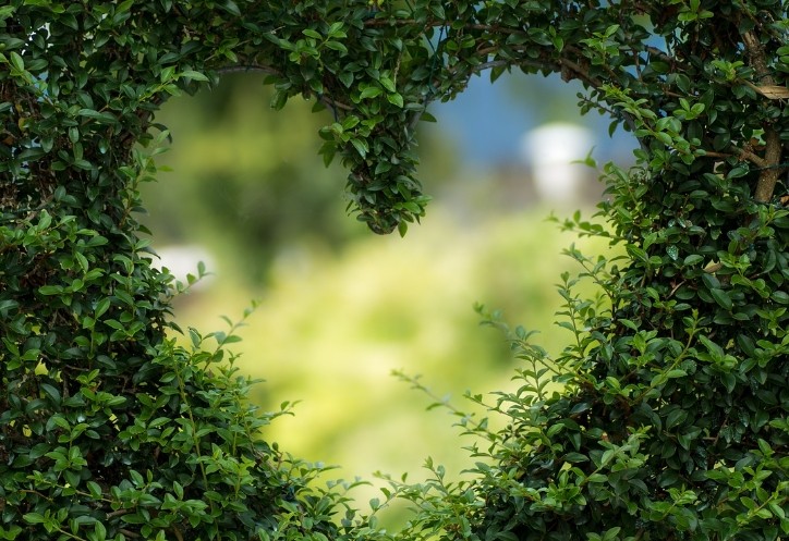 原生家庭是什么意思?