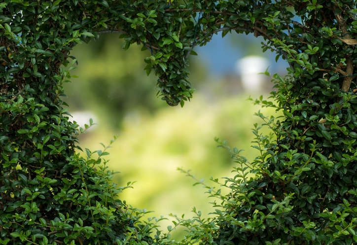 1694134644561167.jpg 原生家庭是什么意思.jpg