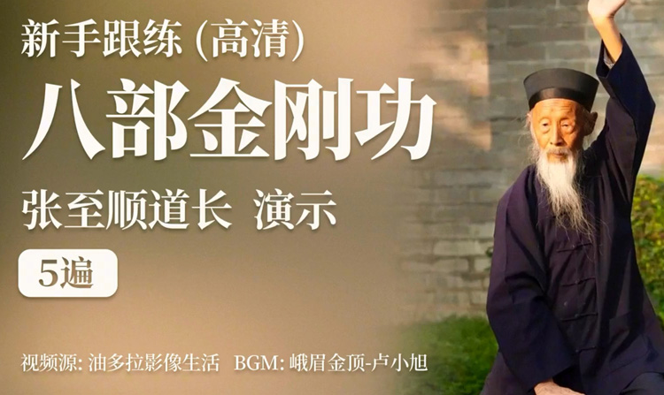 张至顺道长八部金刚功—新手初练版高清