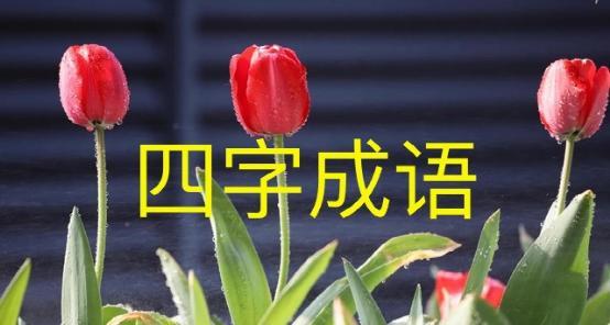 什么是四字成语.jpg