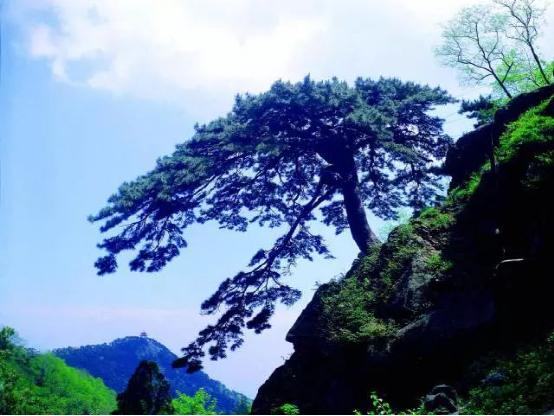 “出来混，迟早要还的”是什么意思？