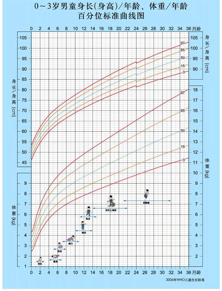 0-3岁男童身长(身高)年龄体重年龄 百分位标准曲线图.jpg