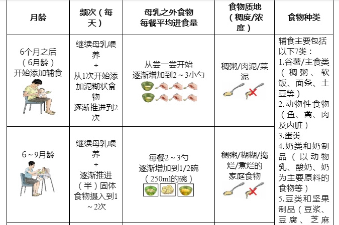 6～24月龄婴幼儿辅食添加要点