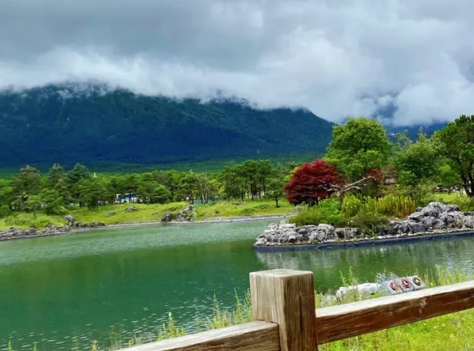 社会实践活动内容参考怎么写?