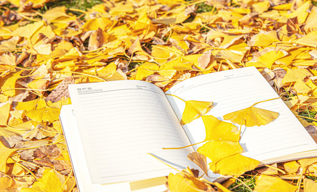 什么是中国学？