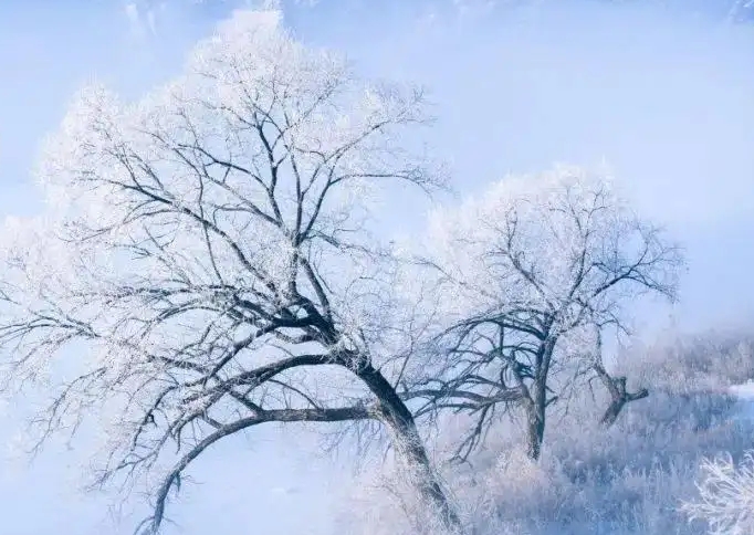 小雪需要注意什么?