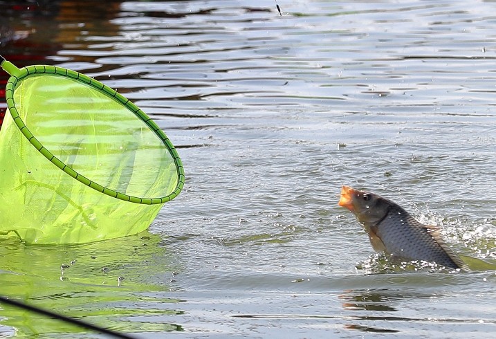 钓鱼有什么技巧？钓友心得分享
