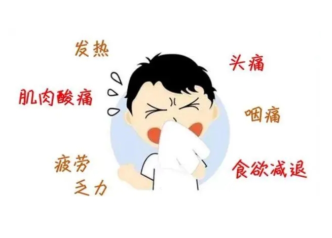 甲流的主要症状有哪些？