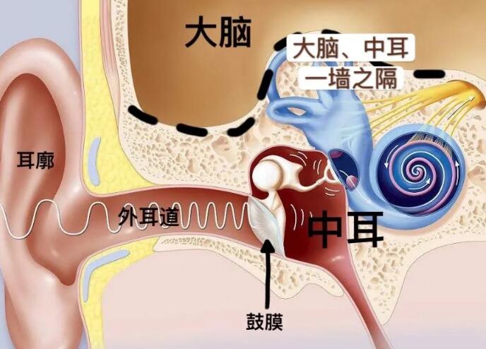 中耳炎会有哪些表现症状？
