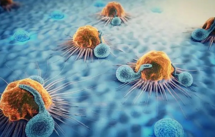 红斑狼疮的症状是什么？