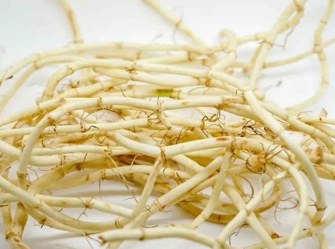 鱼腥草有什么作用和功效?