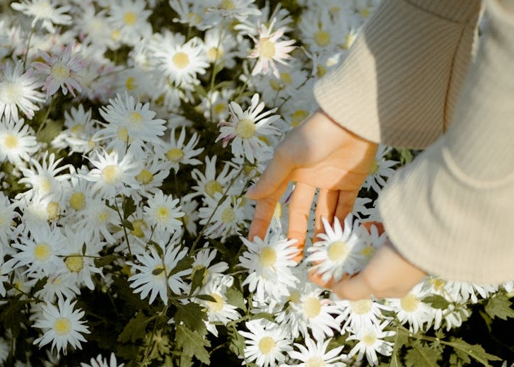 什么是心理咨询师？心理咨询师主要是做什么的？