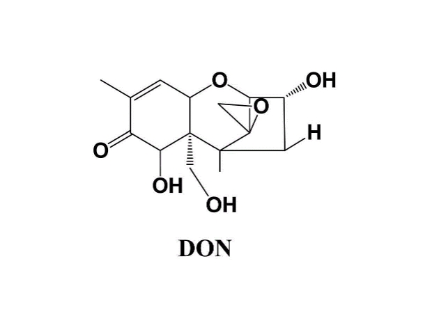 什么是呕吐毒素？有什么危害？