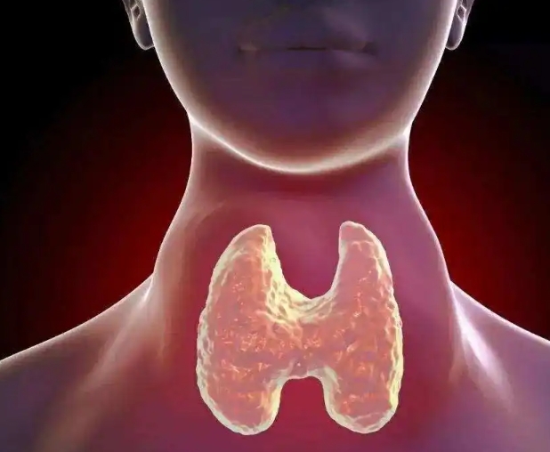 甲状腺的主要症状