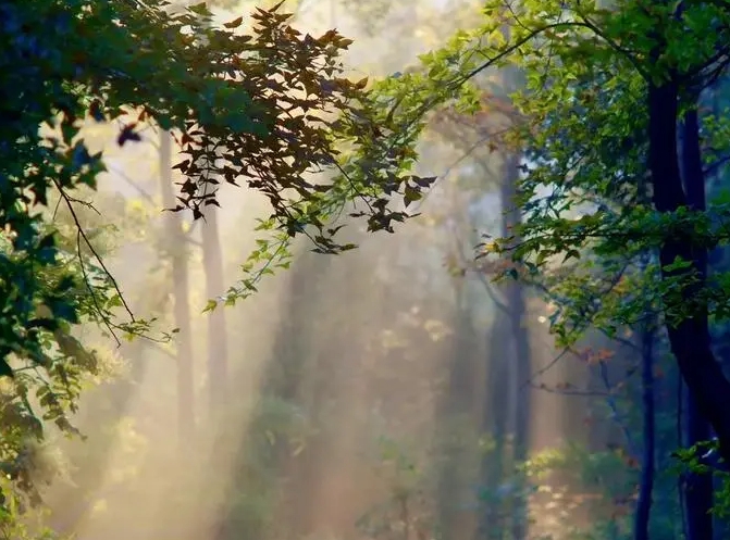读后感如何写？写读后感有什么技巧？