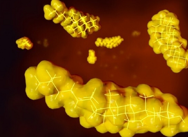 甘油三酯高是什么原因？有什么危害？