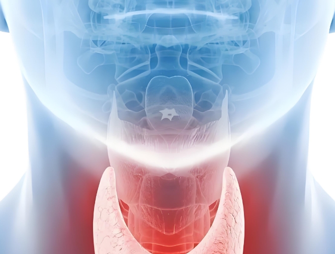 甲状腺疾病有哪些症状表现在哪里？
