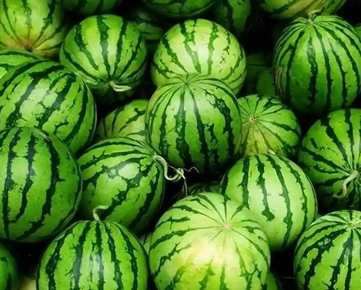 吃反季的水果对身体有损害吗？