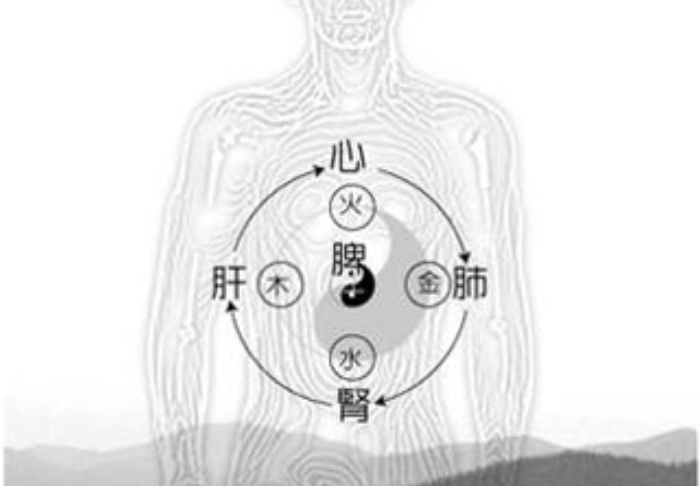 五行在人体与生活中的体现.jpg