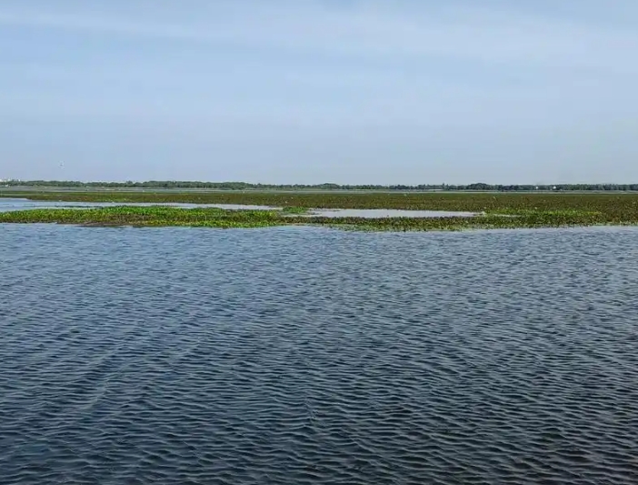 阳澄湖在哪个城市？