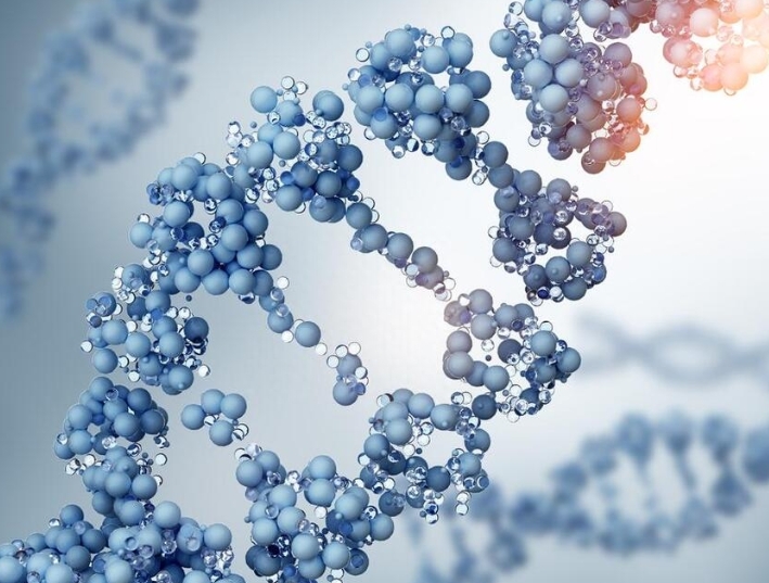 20号染色体有什么特殊的吗？