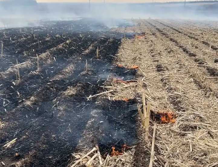 为什么要禁止焚烧秸秆？