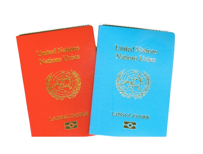 办理联合国护照需要满足哪些条件？