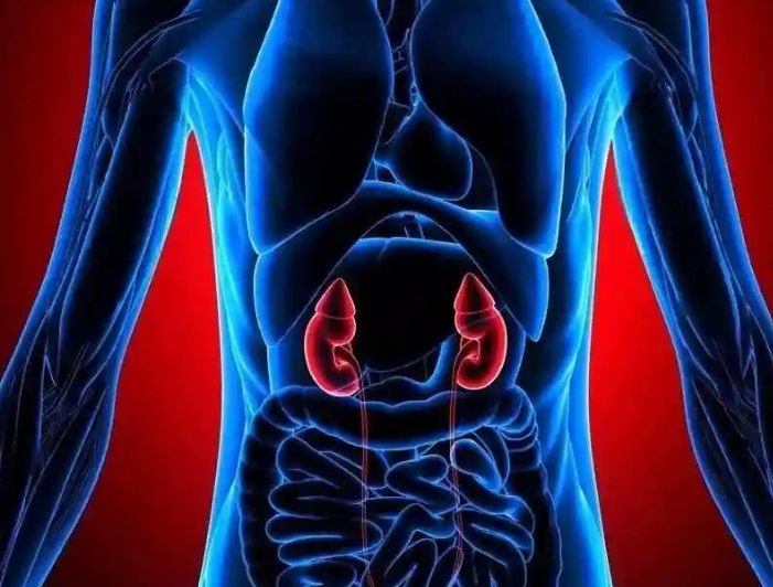 肾不好的症状体现有哪些？